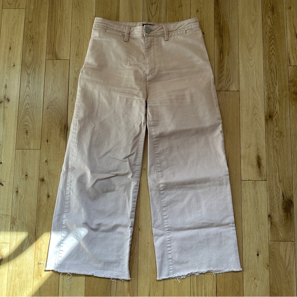 BDG Wide Leg Soft Pink Pants
